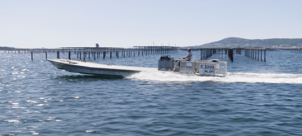 Usage_professionnel_suzuki_marine_DF325_Guy_Sanchez_ostreiculteur_sur_le_bassin_de_Thau_ostreiculture_huitres_Usage_professionnel_suzuki_marine_DF325_Guy_Sanchez_ostreiculteur_sur_le_bassin_de_Thau_ostreiculture_huitres ©