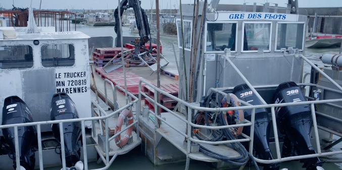 Vie_du_reseau_Suzuki_marine_le_bassin_de_Marennes-Oleron_Vie_du_reseau_Suzuki_marine_le_bassin_de_Marennes-Oleron.jpg ©