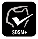 SDSM+